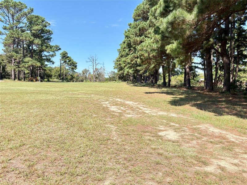 Natural landscape and outdoor views near  in Canton (Image 14).