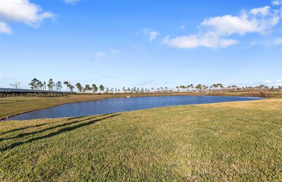 Natural landscape and outdoor views near Del Webb Catalina in Lakewood Ranch (Image 40).
