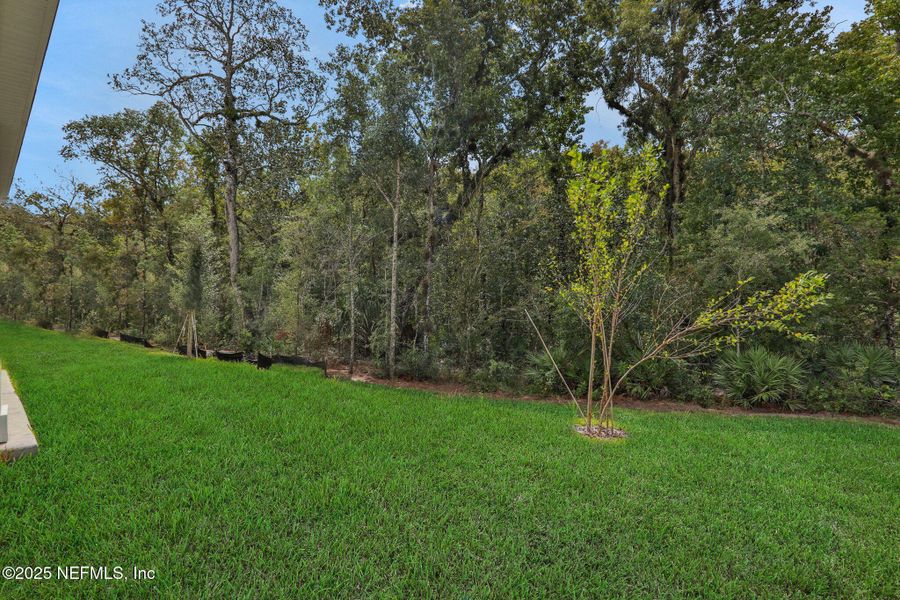 Natural landscape and outdoor views near TrailMark in St. Augustine (Image 39). Natural landscape and outdoor views near TrailMark in St. Augustine (Image 39).