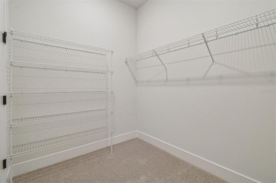 Spacious, unfurnished interior of a new home in The Peninsula at Rhodine Lake, Riverview (Image 22).