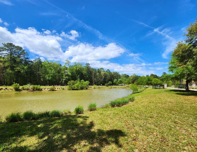 Natural landscape and outdoor views near Rivers Reach in Yemassee (Image 41). Natural landscape and outdoor views near Rivers Reach in Yemassee (Image 41).