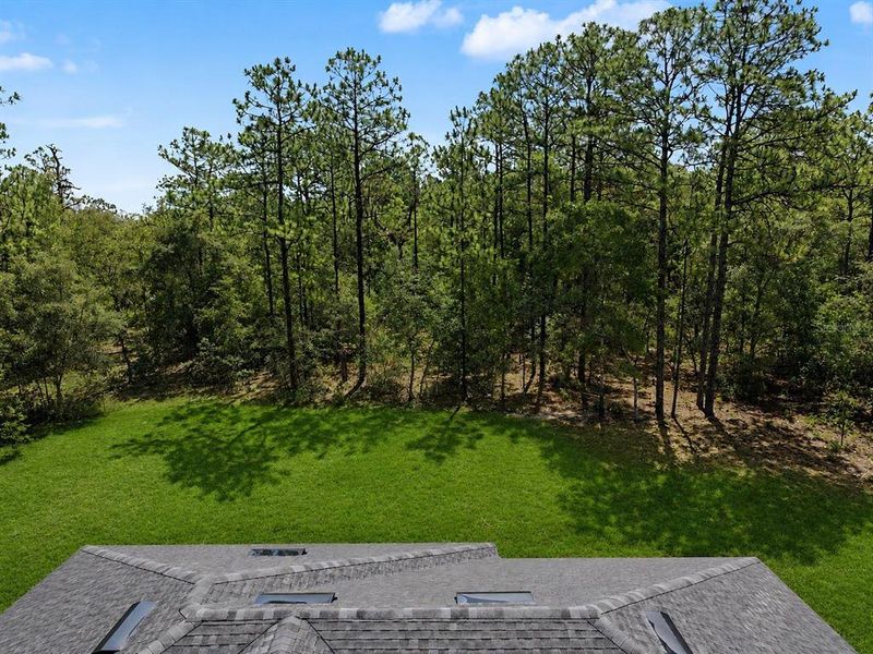 Natural landscape and outdoor views near  in Citrus Springs (Image 44).