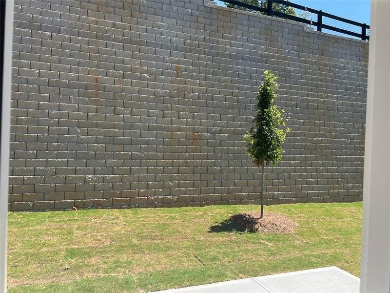Exterior details and patio area of a home in Castleberry Pointe, Dawsonville (Image 17).