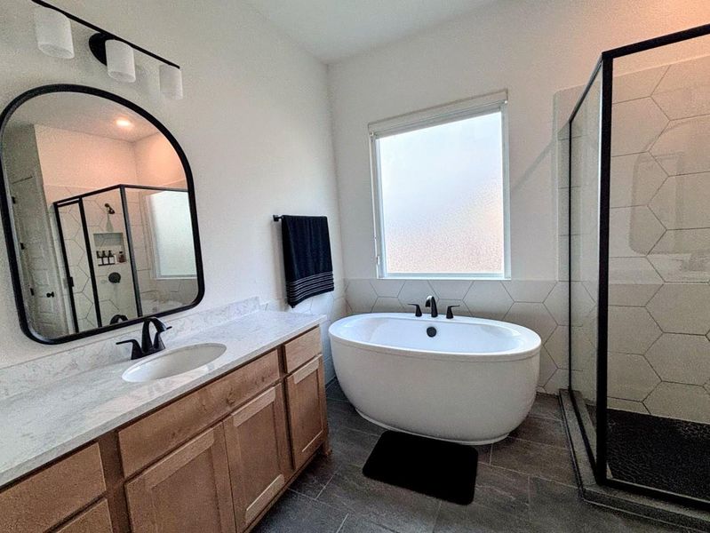 The modern  Master bathroom,