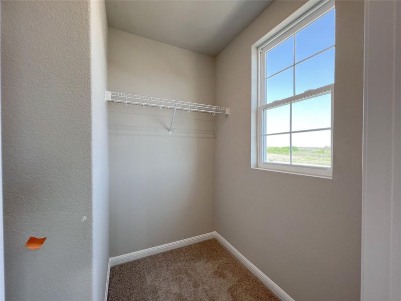 Walk in closet featuring carpet flooring Walk in closet featuring carpet flooring