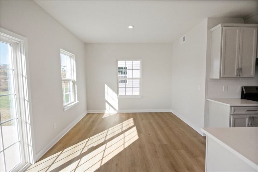 Spacious, unfurnished interior of a new home in Canterbrook Farms 2-Story, Fountain Inn (Image 13). Spacious, unfurnished interior of a new home in Canterbrook Farms 2-Story, Fountain Inn (Image 13).