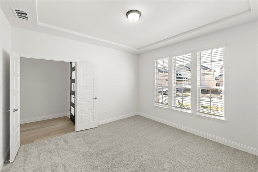 13_1433 Florence, Celina - Study