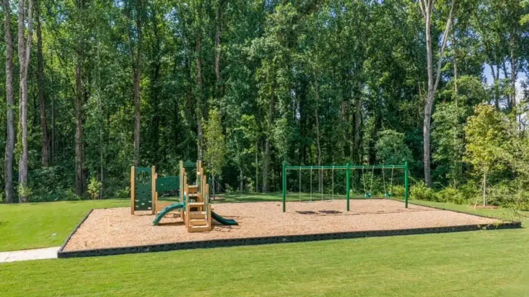 Community amenities in Grandview at Lanier, Dawsonville (Image 29).