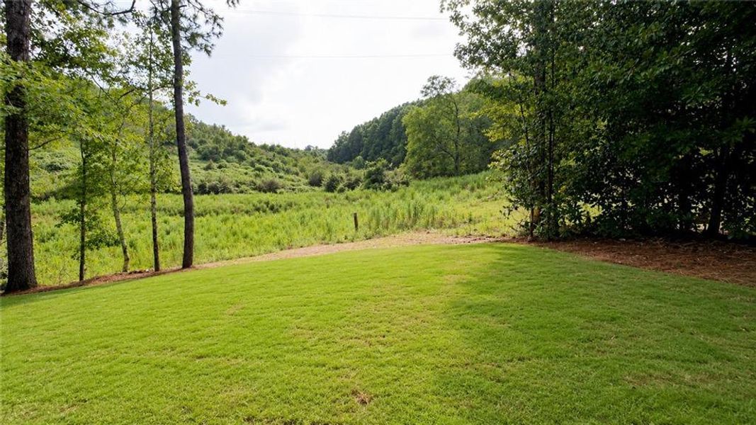 Natural landscape and outdoor views near Habersham Meadows in Demorest (Image 22).