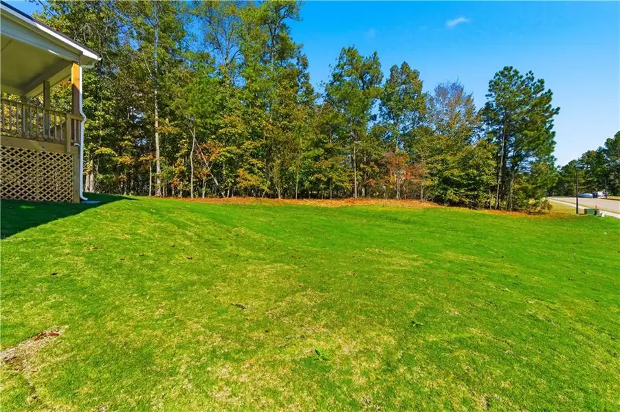 Exterior details and patio area of a home in The Estates at Hurricane Pointe, Douglasville (Image 27).
