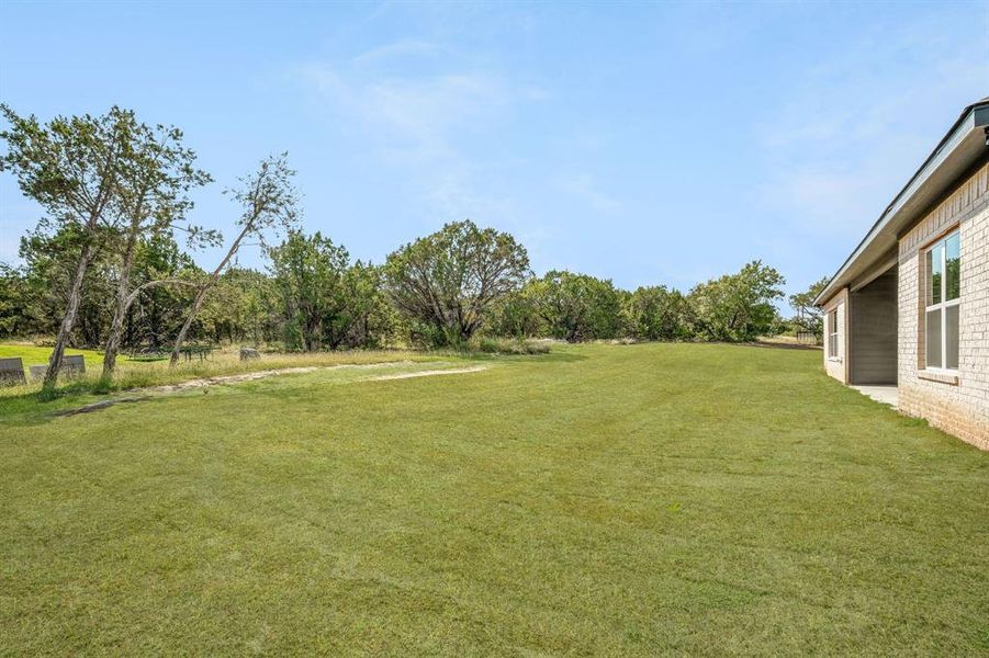 View of back yard