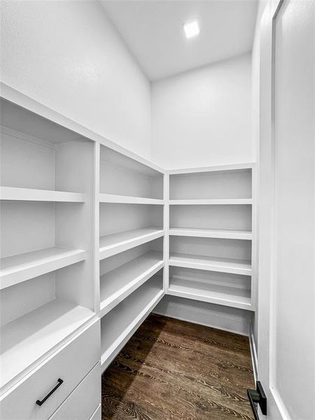 Large walk in Pantry