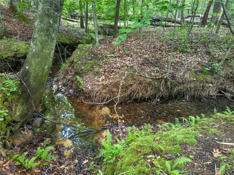 Natural landscape and outdoor views near  in Rockmart (Image 48).