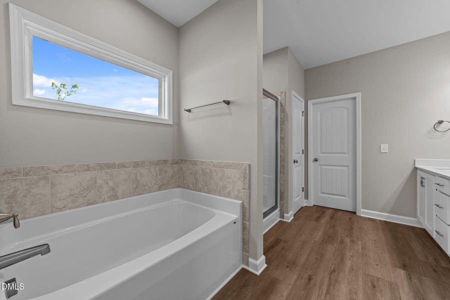 37-web-or-mls-VB4A4005