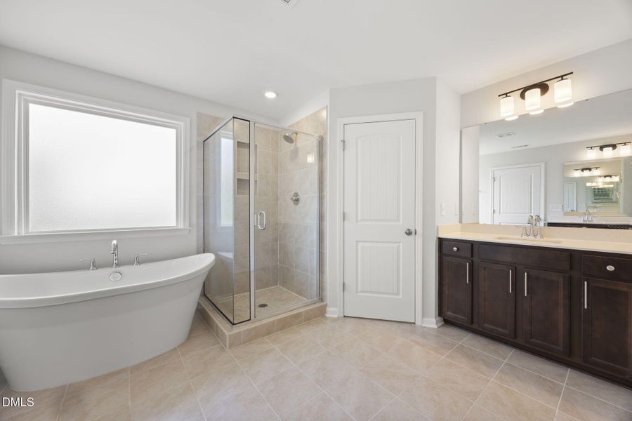49-web-or-mls-484A9249