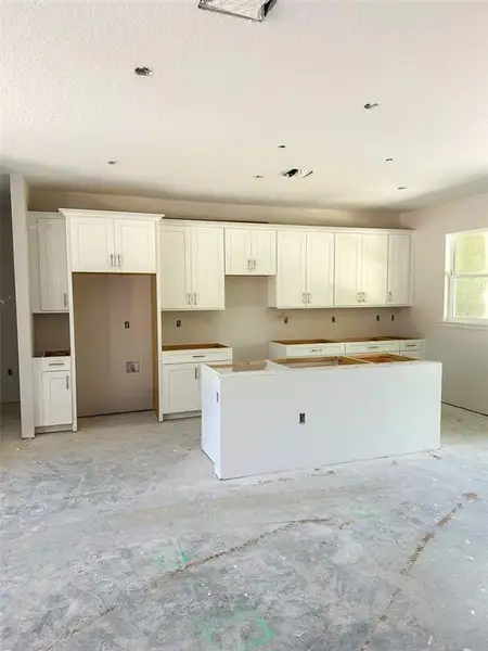 In-progress construction of a new home in Pine Ridge Estates, Beverly Hills, FL (Image 4).