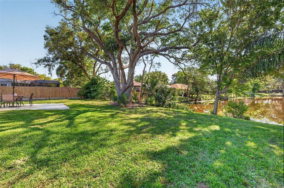 Natural landscape and outdoor views near  in Mount Dora (Image 43).