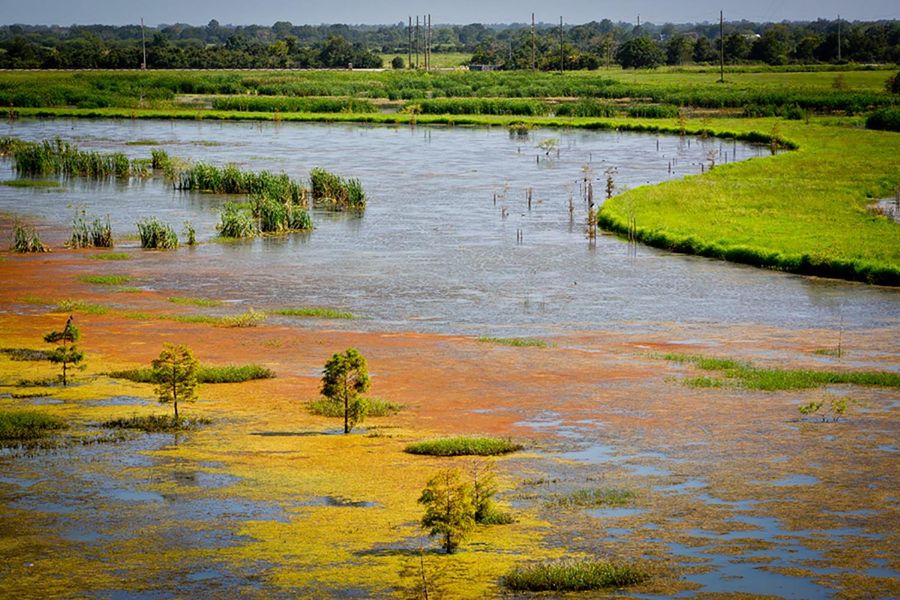 Natural landscape and outdoor views near  in Fulshear (Image 16).