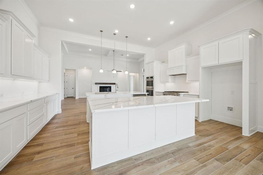 10-112Swan_014 10-112Swan_014