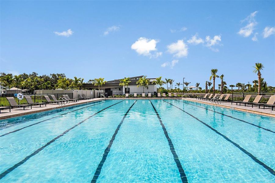 Community amenities in Cassia at Skye Ranch, Sarasota (Image 42). Community amenities in Cassia at Skye Ranch, Sarasota (Image 42).