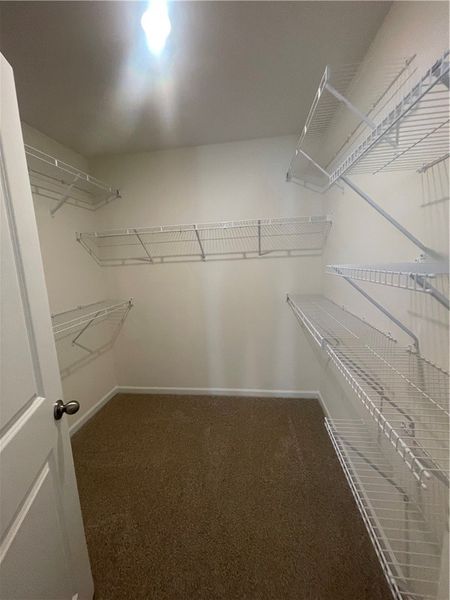 Spacious, unfurnished interior of a new home in Springwood Grove, Central (Image 40).