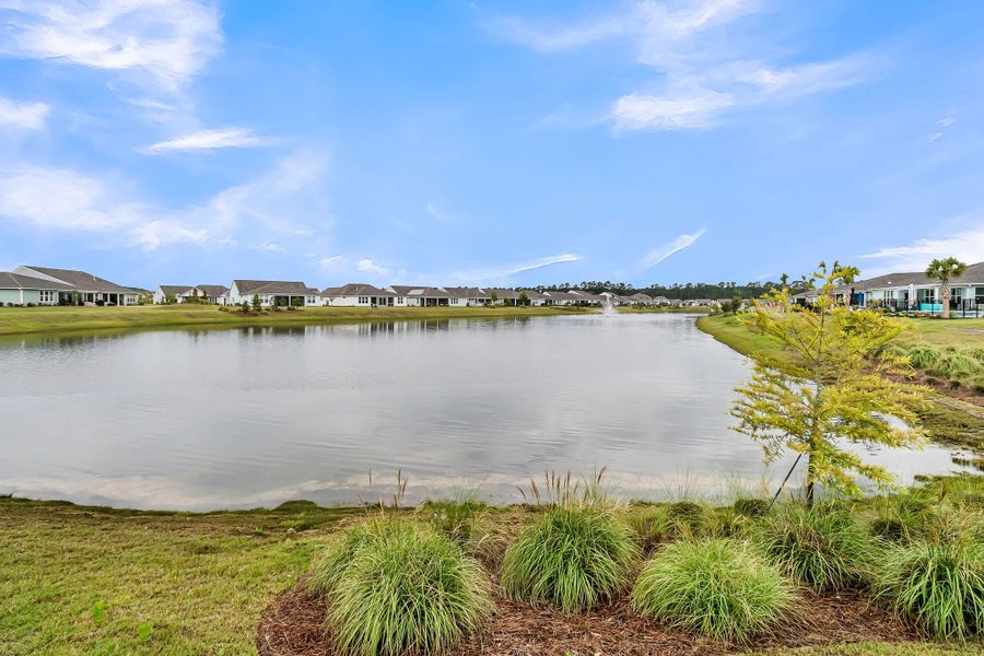 Natural landscape and outdoor views near  in Summerville (Image 57).