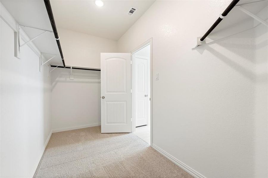 Walk in closet with light carpet
