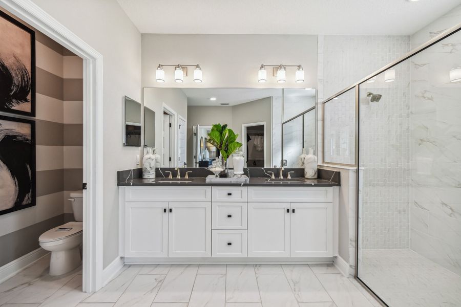 Owner's Bathroom