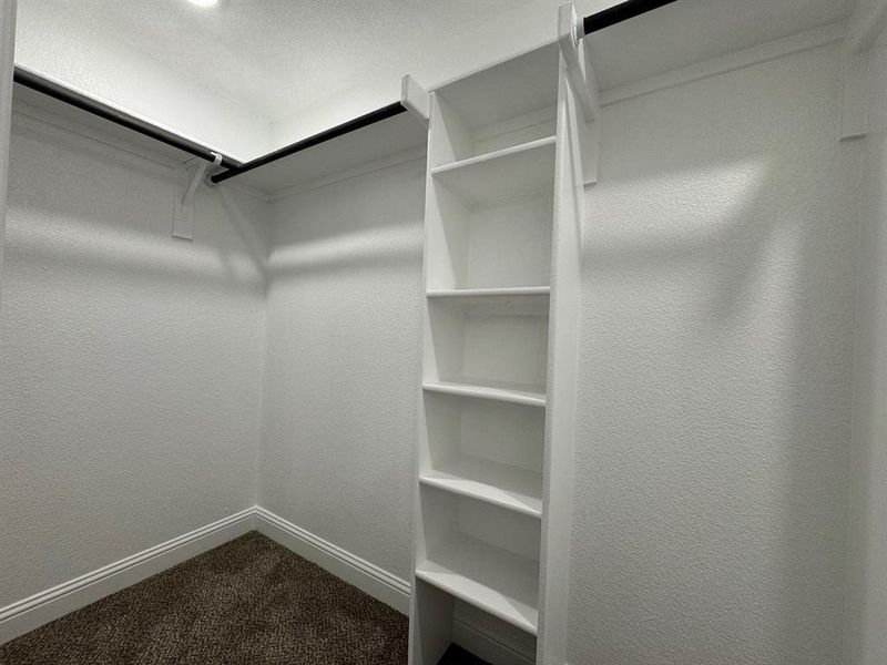 Spacious closet featuring carpet