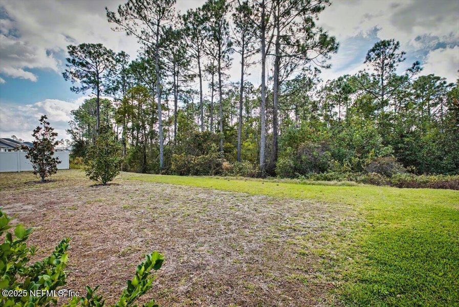 Natural landscape and outdoor views near  in Palm Coast (Image 23).