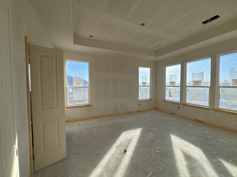 Spare room with a tray ceiling and baseboards Spare room with a tray ceiling and baseboards