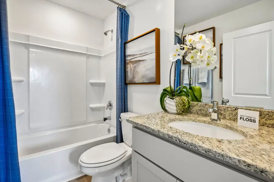 Furnished interior view inside a new home in Hockley Meadows, Hockley (Image 37).
