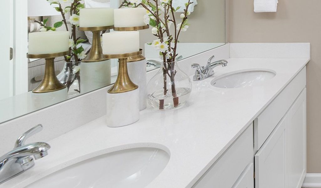 Bronze-E928-Williamsport Bathroom