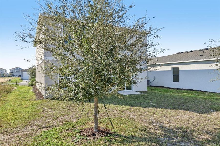Natural landscape and outdoor views near The Reserve at Bradbury Creek in Haines City (Image 10).