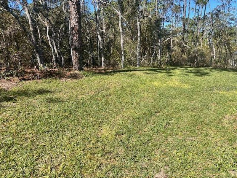 Natural landscape and outdoor views near Pine Ridge in Beverly Hills (Image 16).
