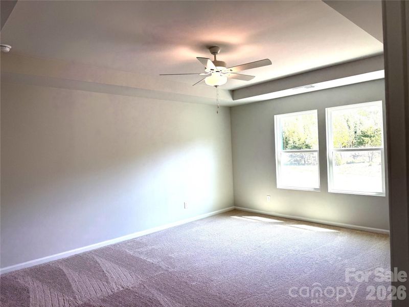 primary with tray ceiling