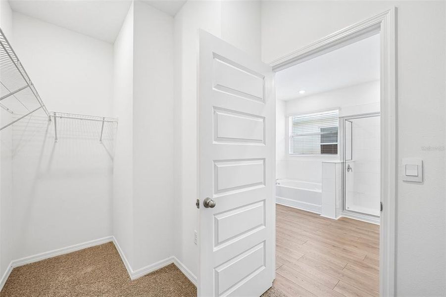 Spacious, unfurnished interior of a new home in , Lakeland (Image 46).