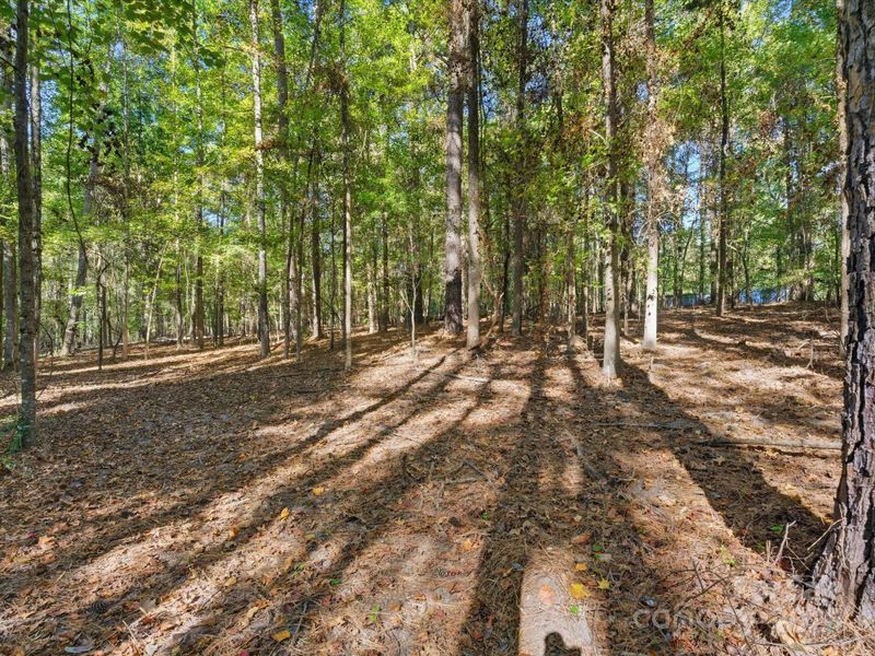 Natural landscape and outdoor views near in Waxhaw (Image 20). Natural landscape and outdoor views near in Waxhaw (Image 20).