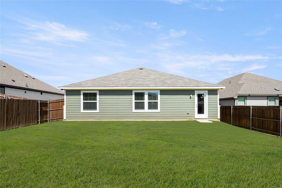 433 Rose- Back-1 433 Rose- Back-1