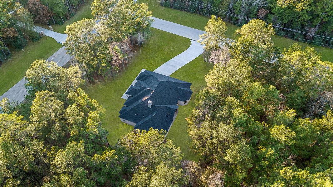 Lots of mature trees Lots of mature trees