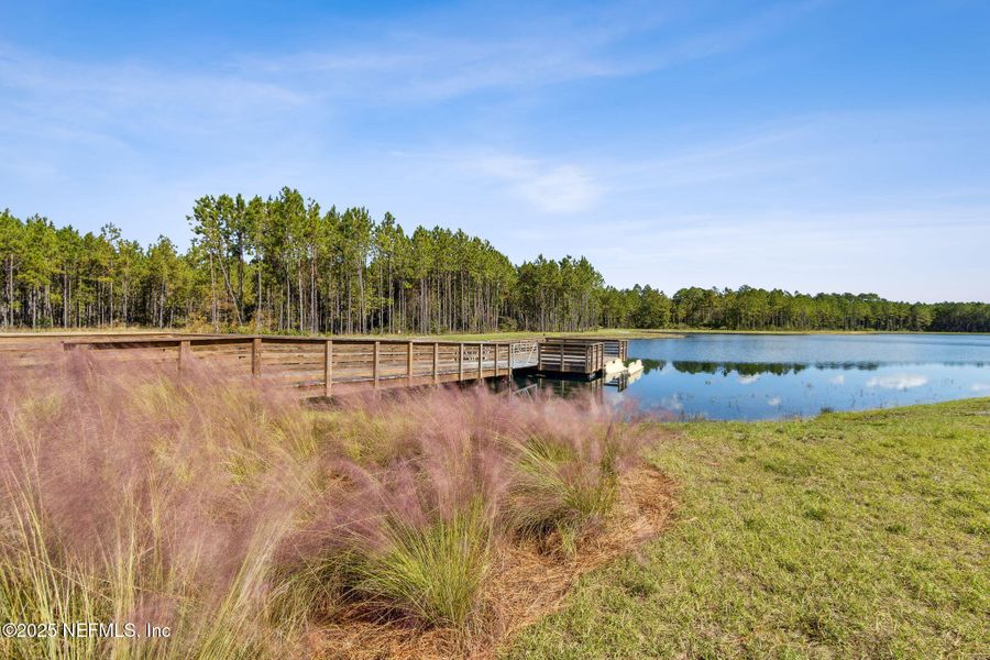 Natural landscape and outdoor views near Forest Park at Wildlight in Yulee (Image 58). Natural landscape and outdoor views near Forest Park at Wildlight in Yulee (Image 58).
