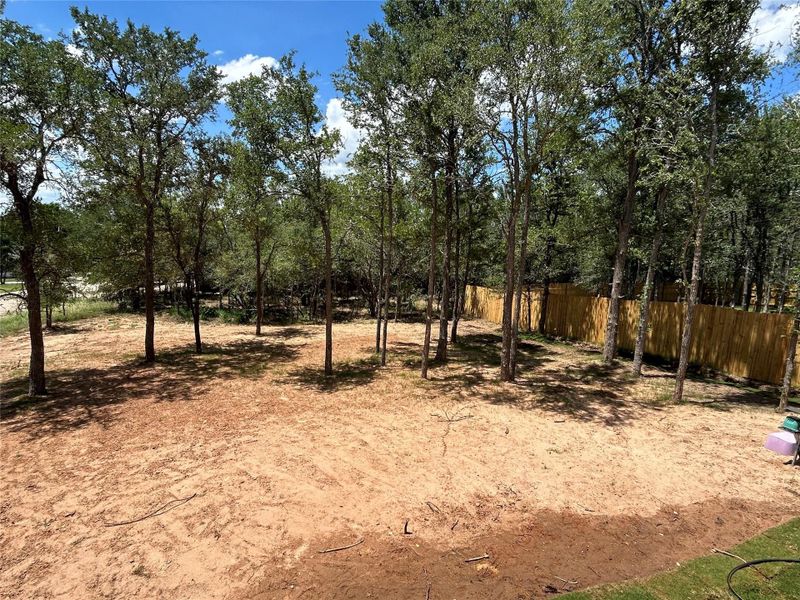 View from the back porch. View from the back porch.