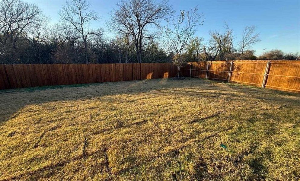 Backyard Construction Progress