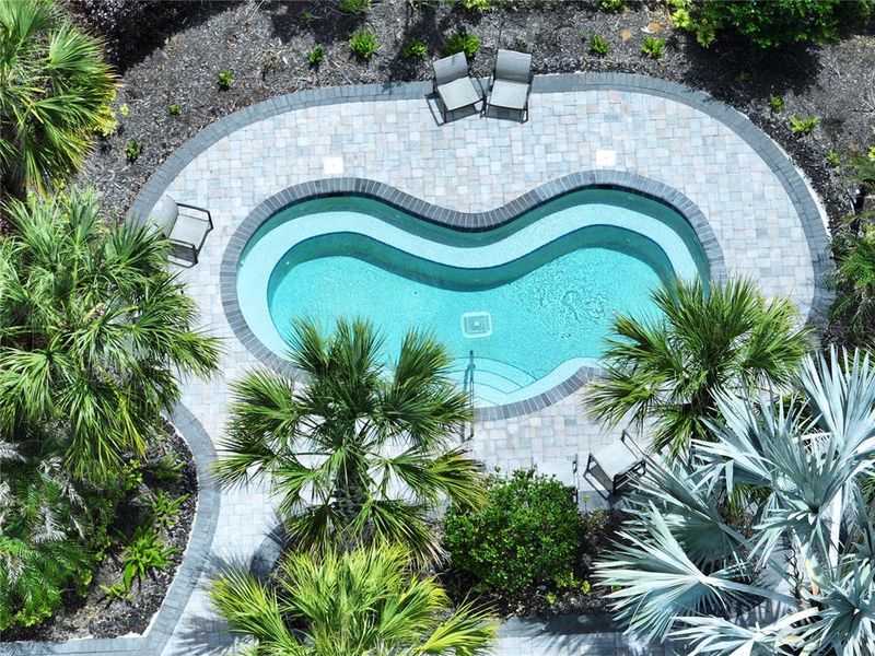Community amenities in , Wesley Chapel (Image 62).