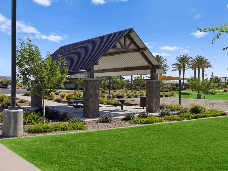 Community amenities in Bella Vista Farms Reserve Series, San Tan Valley (Image 24).