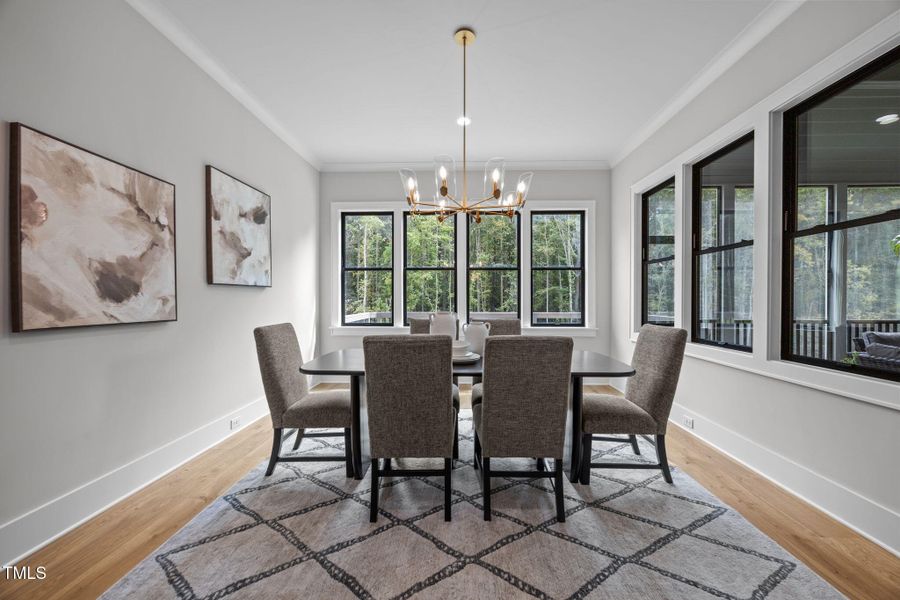 33-web-or-mls-IMG_9682