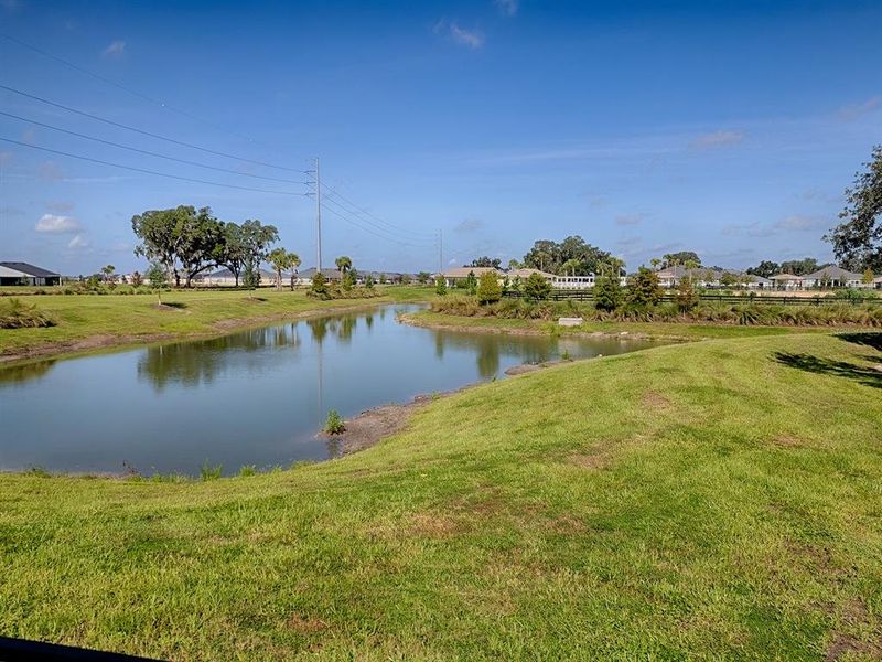 Natural landscape and outdoor views near in The Villages (Image 40). Natural landscape and outdoor views near in The Villages (Image 40).