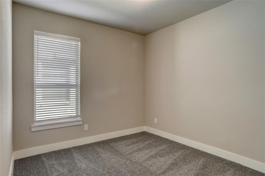 Empty room featuring carpet