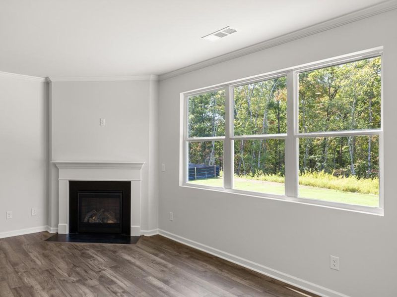 Spacious, unfurnished interior of a new home in Parkside at Carter Grove, Cartersville (Image 24).