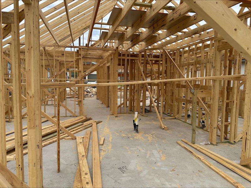 220 Wingstem Way - Under Construction